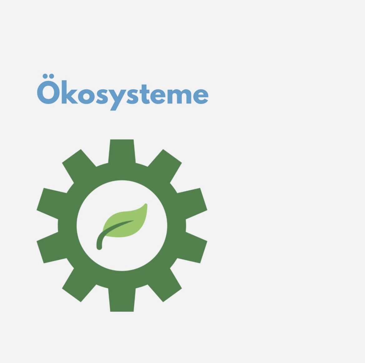 Ökosysteme