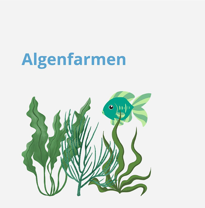 Algenfarmen