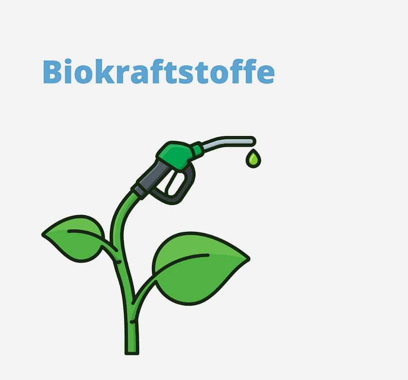 Bio-Kraftstoffe