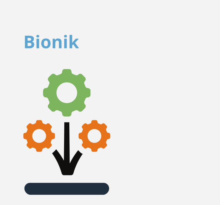 Bionik post thumbnail image