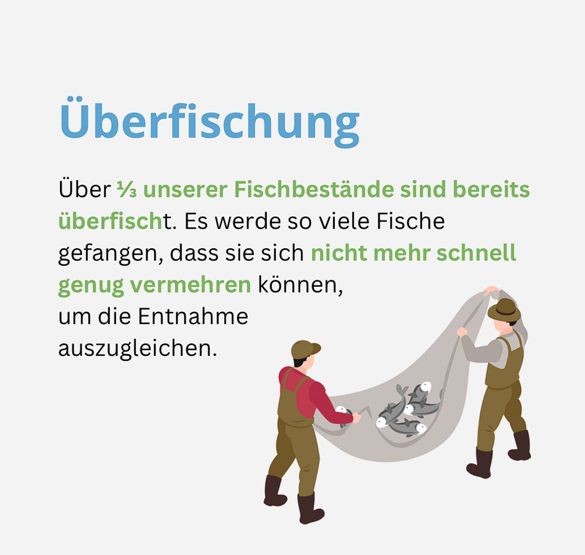 Über ein Drittel unserer Fischbestände sind bereits überfischt. Es werden so viele Fische gefangen, dass sie sich nicht mehr schnell genug vermehren können, um die Entnahme auszugleichen.