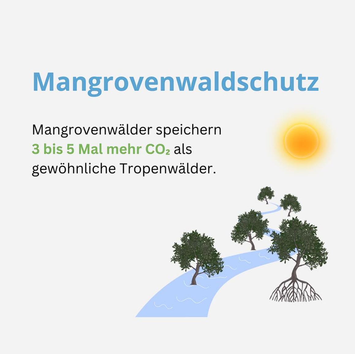 Mangrovenwaldschutz. Mangrovenwälder speichern 3 bis 5 Mal mehr CO2 als gewöhnliche Tropenwälder.