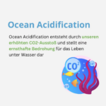 Beitragsbild zum Begriff „Ocean Acidification". Ocean Acidification entsheht durch unseren erhöhten CO2-Ausstoß und stellt eine ernsthafte Bedrohung für das Leben unter Wasser dar.