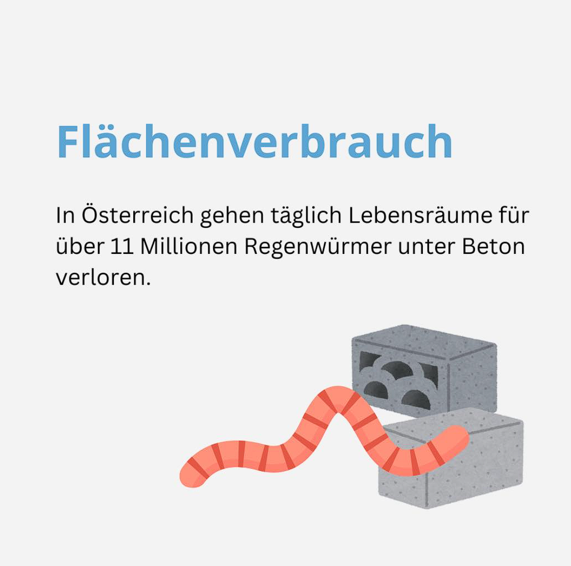 Beitragsbild zum Thema „Flächenverbrauch". In Österreich gehen täglich Lebensräume für über 11 Millionen Regenwürmer unter Beton verloren.