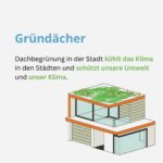 Beitragsbild zum Thema „Gründächer". Dachbegrünung in der Stadt kühlt das Klima und schützt unsere Umwelt und unser Klima.