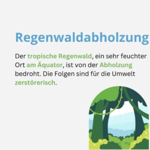 Beitragsbild zum Thema „Regenwaldabholzung". Text: Der tropische Regenwald, ein sehr feuchter Ort am Äquator, ist von der Abholzung bedroht. Die Folgen sind für die Umwelt zerstörerisch.