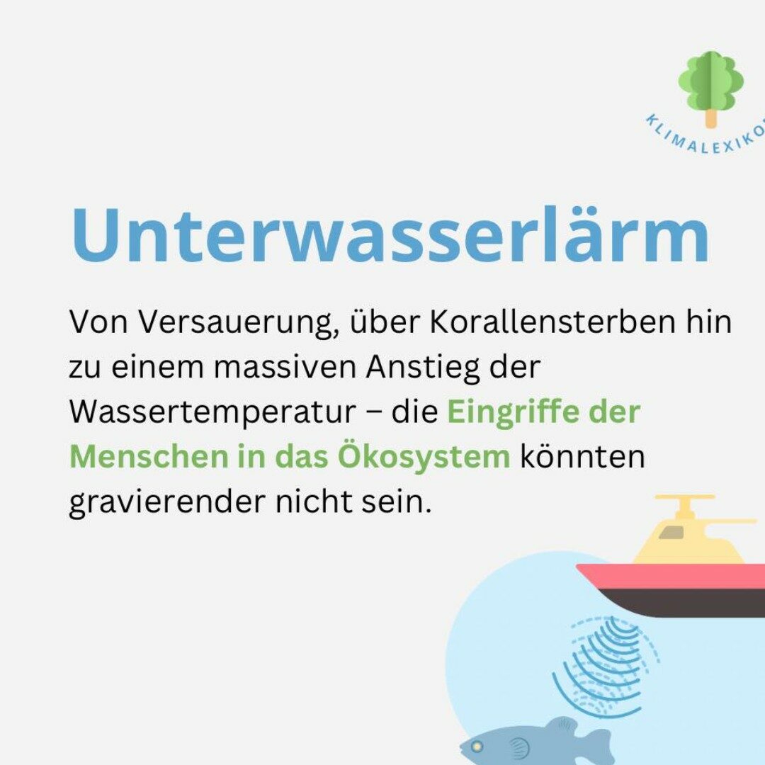 Beitragsbild zum Thema „Unterwasserlärm". Von Versauerung, über Korallensterben hin zu einem massiven Anstieg der Wassertemperatur - die Eingriffe der Menschen in das Ökosystem könnten gravierender nicht sein.